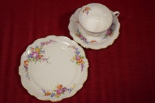 Wunderschöne Sammeltasse, Teetasse, Kaffeetasse Rosenthal Pompaduur Samara Top!