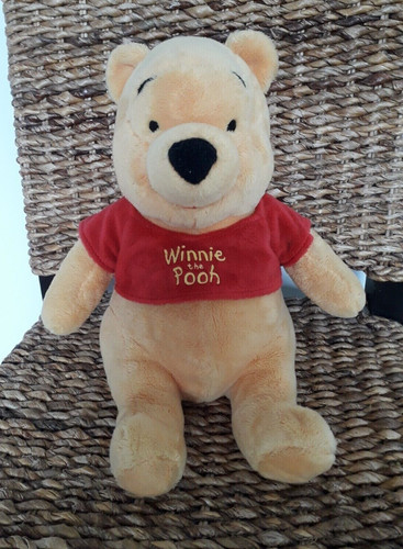 Disney winnie the pooh - winnie,