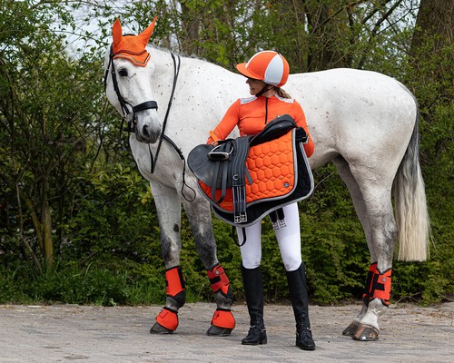 Qhp orange kleines 4er - qhp,