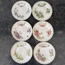 Royal Albert Blume des Monats
