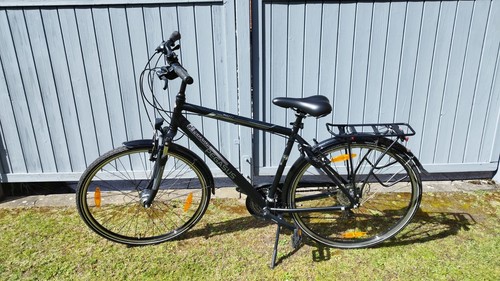 Herrenfahrrad pegasus piazza - herrenfahrrad,