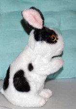 Kaninchen,Plüschtier,Plüschh