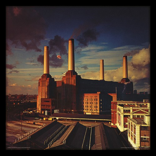 Pink floyd animals - -,