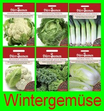 Wintersaatgut Wintergemüse