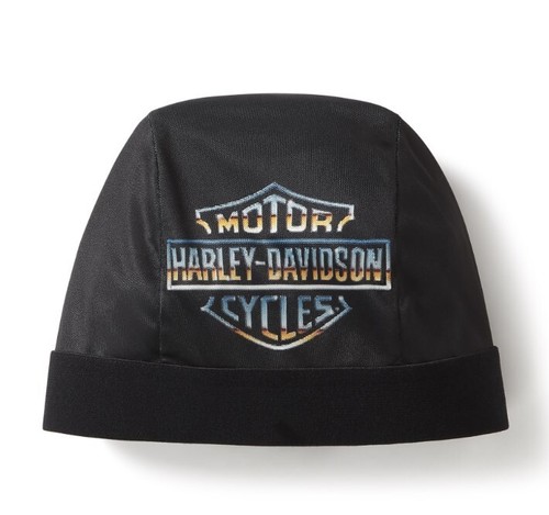 Harley davidson evo thunder - harley-davidson,