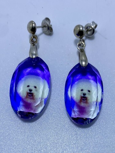 Bichon frise hund kristall - frise,