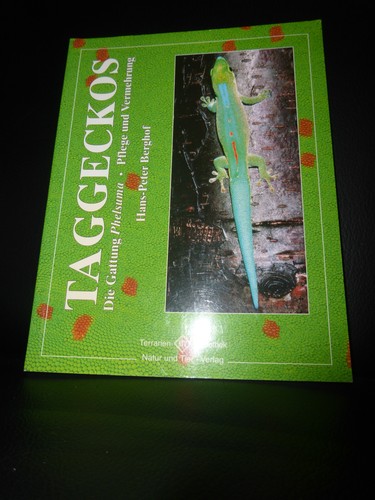 Taggeckos die gattung - die, phelsuma