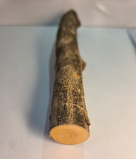 1 Stamm Drechselholz Buchsbaum