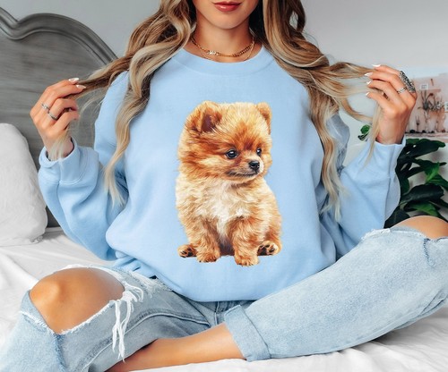 Entzückender pomeranian welpe - pomeranian,