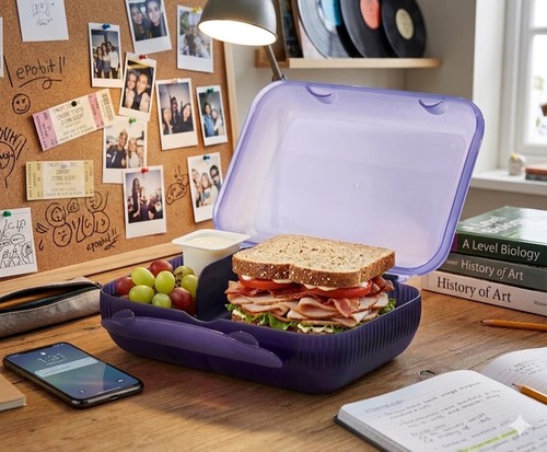 Tupperware lunchbox blau - go,
