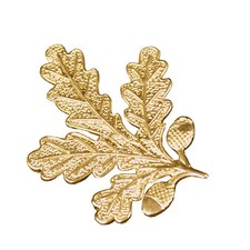 Eichenlaub als Anstecker -