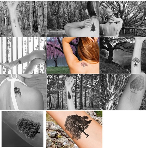 Baum temporäres tattoo set - tattoo,,