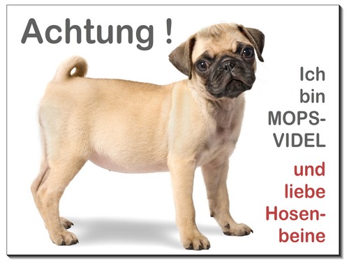 Mops-Hund-Aluminium-Schild--3