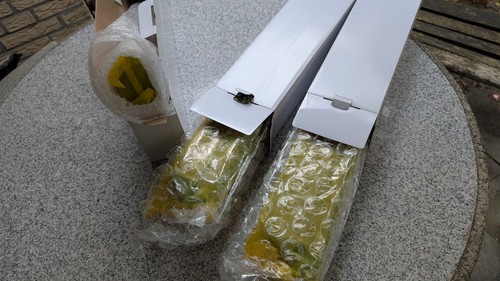 Toner kompatibel für oki - 3x,