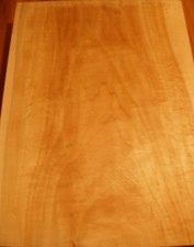 PappelKorpus Einteiler Korpus