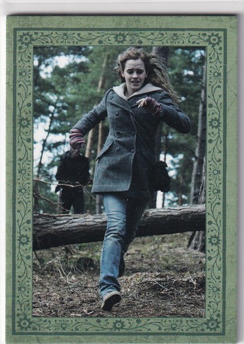 Panini harry potter evolution - panini,