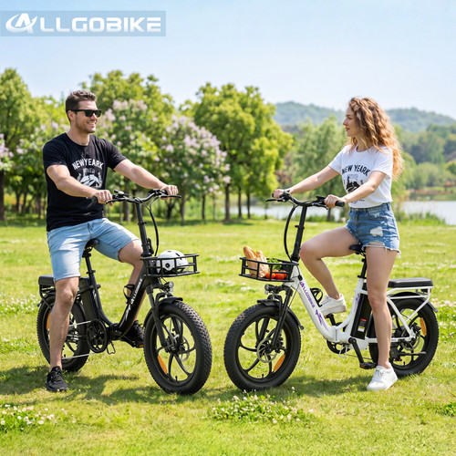 20zoll city bike 48v - bike,