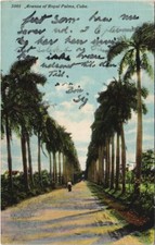 Avenue royal palms - pc,