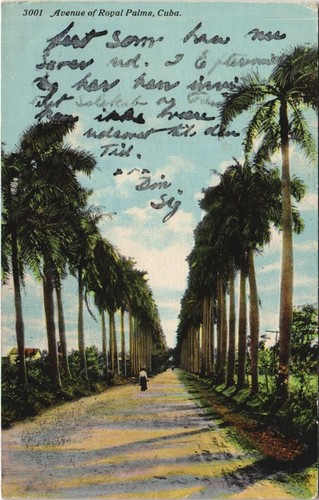 Avenue royal palms - pc,