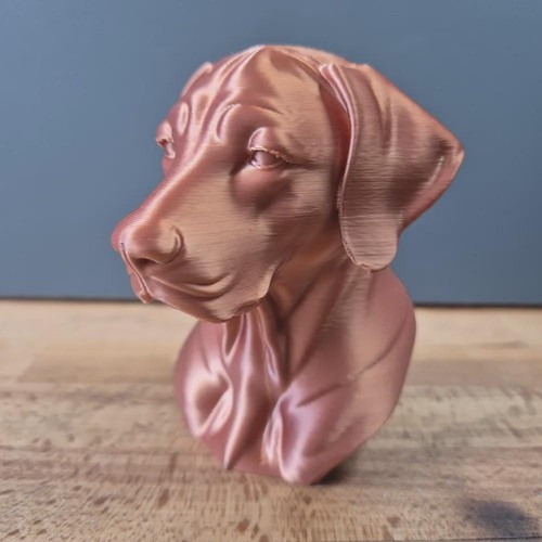 Rhodesian ridgeback büste - rhodesian, –