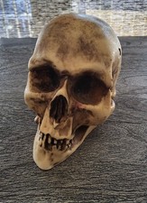 DEKO MENSCHENSCHÄDEL☆SKULPTUR☆STEIN☆HALLOWEEN / GOTHIC☆3.1KG☆TOP-ZUSTAND☆