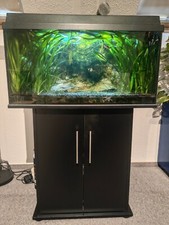 aquarium komplett mit