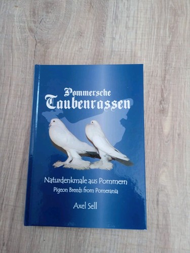 Pommersche taubenrassen - pommersche,