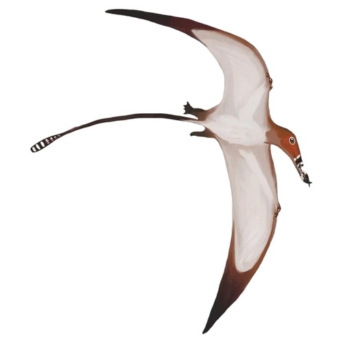 Beasts antiquity stem birds - beasts,