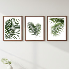 Botanische tropische - botanische,