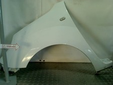 KOTFLÜGEL LINKS VORNE Renault