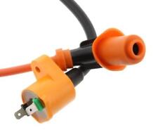 High Power Zündspule 30000