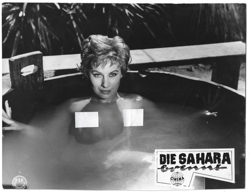 Magali noel die - sahara, brennt