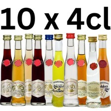 Schnaps kleine Flaschen bunte Mischung 10x4cl | 10 kleine Flaschen (Set)