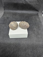  1 Paar ca.29-32 mm Moqui