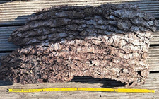 Baumrinde, 1 großes Stück