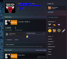 Steam Account | CS2 5 & 10 Year Medals . 22 Year Steam Account