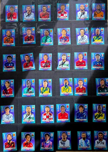 Panini fifawm qatar22 sticker - panini,
