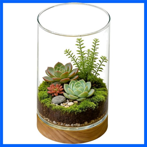 Clear glass terrarium - glass, with