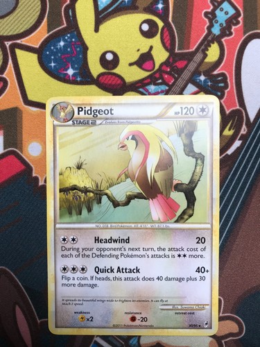 Pidgeot ruf der - 30/95,