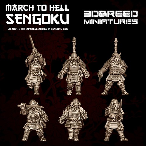 Sengoku samurai warriors - sengoku,