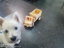 Nic LKW-Kipper, höchst