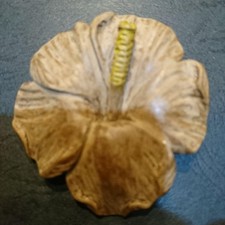 Netsuke Hagebutte Blumen Holz