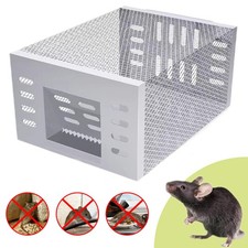 Rattenfalle Lebendfalle