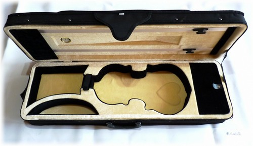 Formkoffer violine - 4/4,