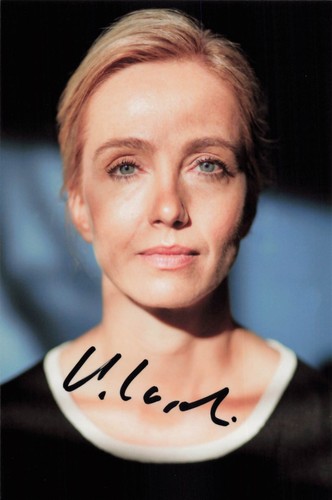Ursina lardi - ursina,