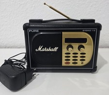 Marshall Pure Evoke 1 S Tragbare  Radio MusikBox