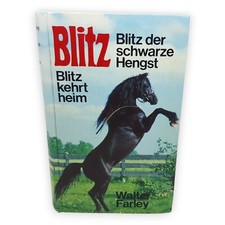 Blitz der schwarze Hengst Walter Farley kehrt heim 2 Pferdegeschichten 90er Buch
