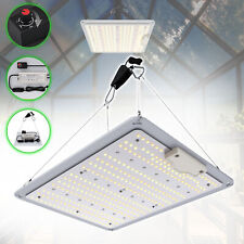 LED Pflanzenlampe Vollspektrum Gewächshaus Lampe Wachstumslicht 100W Grow Light