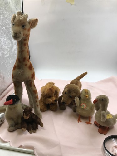 Vintage konvolut steiff tiere - konvolut,