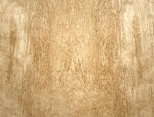 Birke Maser Furnier Holz